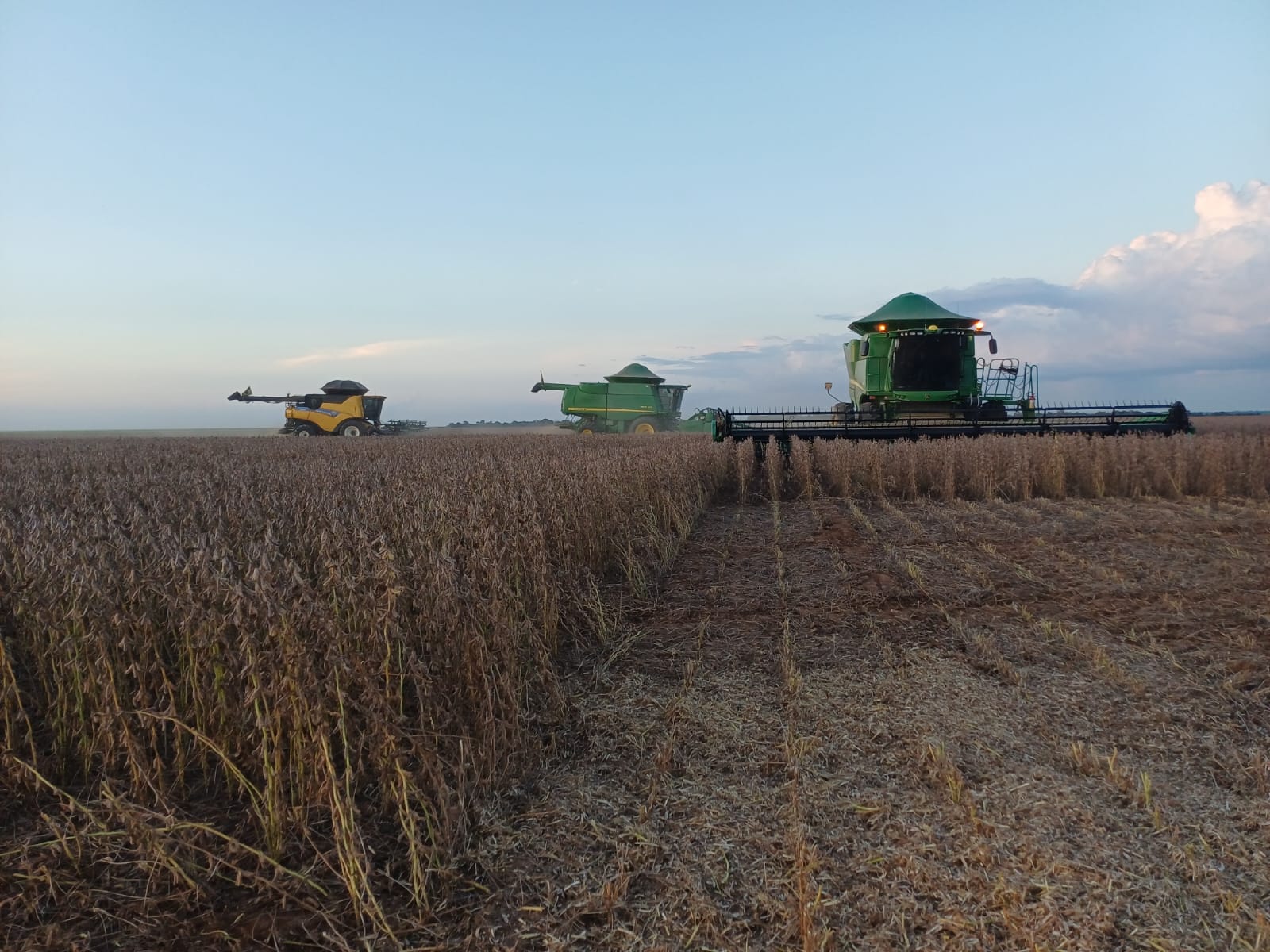 Em dez anos, CAT Sorriso multiplica certificações da soja responsável e fortalece a agricultura regenerativa em Mato Grosso