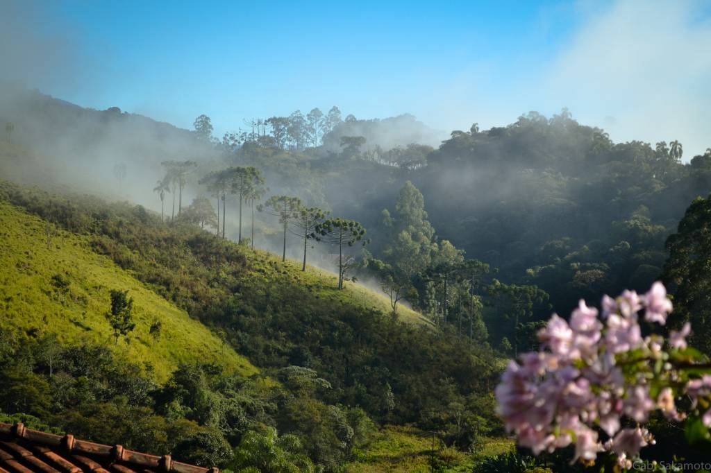 Santo Antônio do Pinhal, Serra da Mantiqueira, São Paulo