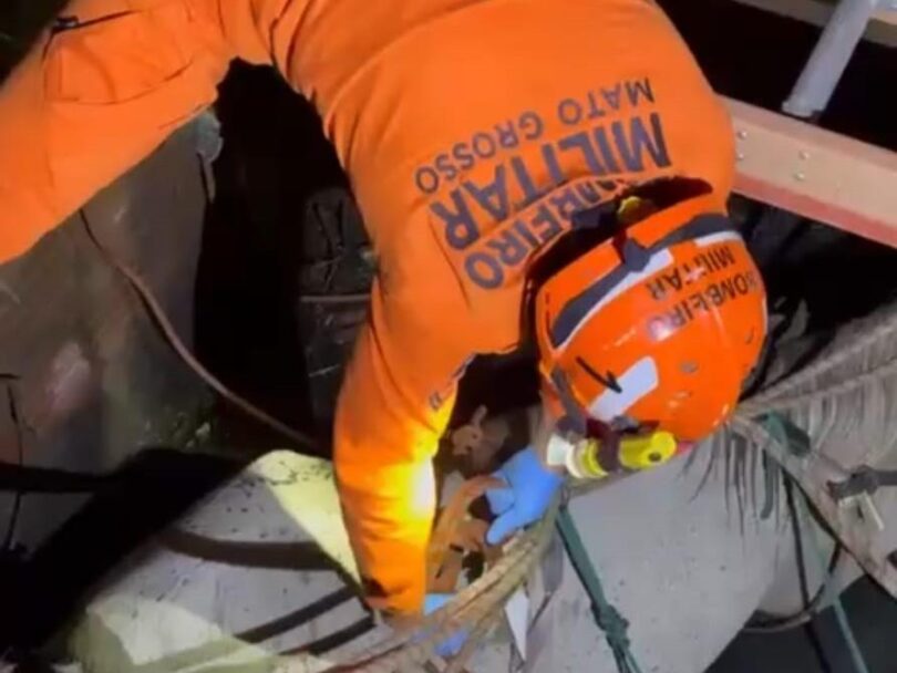 Corpo de Bombeiros resgata cavalo que caiu em poço de residência em Várzea Grande -