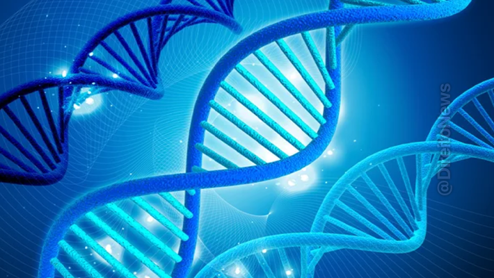 stj valida paternidade 20 anos apos morte genitor base dna tios