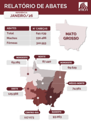 Imea_Abates_Janeiro-186X250-1 Após avanço, Imea aponta recuo de abate de fêmeas