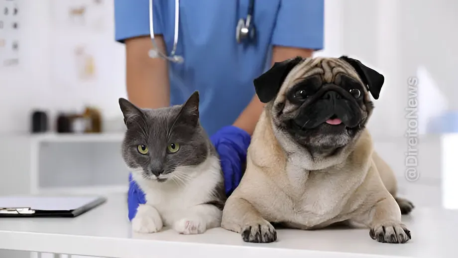 projeto preve deducao imposto renda gastos saude pets