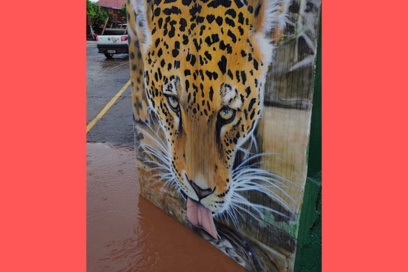 Rio Sobe Com Chuvas E População Aguarda Aparição De Onça Para Beber Água 1 2026 word1