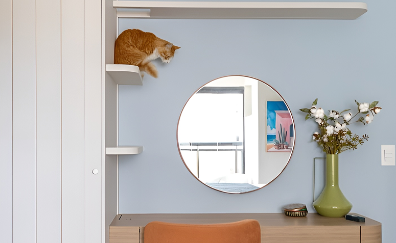 casa gatificada com gato usando prateleiras e móveis integrados à decoração