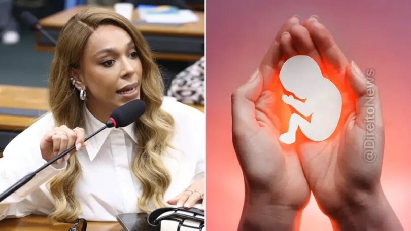 Proposta De Anistia Para Aborto Por Decisão Da Gestante 1 2026 word2