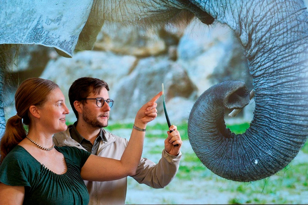 Fotografia da Profª. Katherine J. Kuchenbecker (à esquerda) e do Dr. Andrew K. Schulz (à direita) com a varinha sensora de vibrissas impressa em 3D que ajudou a equipe de pesquisa a entender como um gradiente funcional de rigidez do material poderia facilitar a detecção de contato em vibrissas de elefantes e gatos.