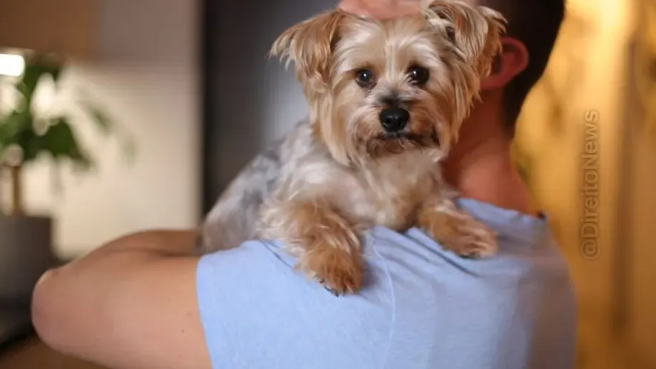 tjdf mantem condenacao homem abuso sexual yorkshire