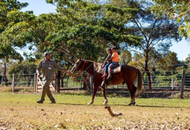 Domingo No Parque: Passeio A Cavalo, Pedalinho E Música Ao Vivo - Diversão Garantida! 31 2026 word1