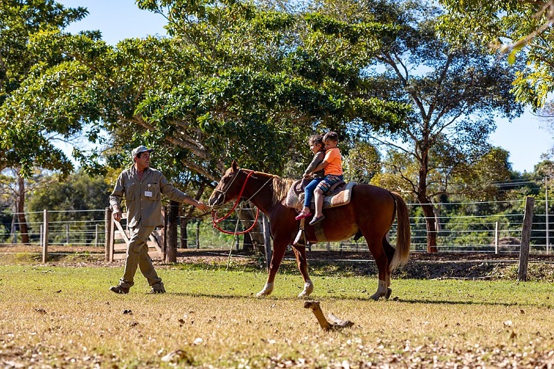 Domingo No Parque: Passeio A Cavalo, Pedalinho E Música Ao Vivo - Diversão Garantida! 1 2026 word3