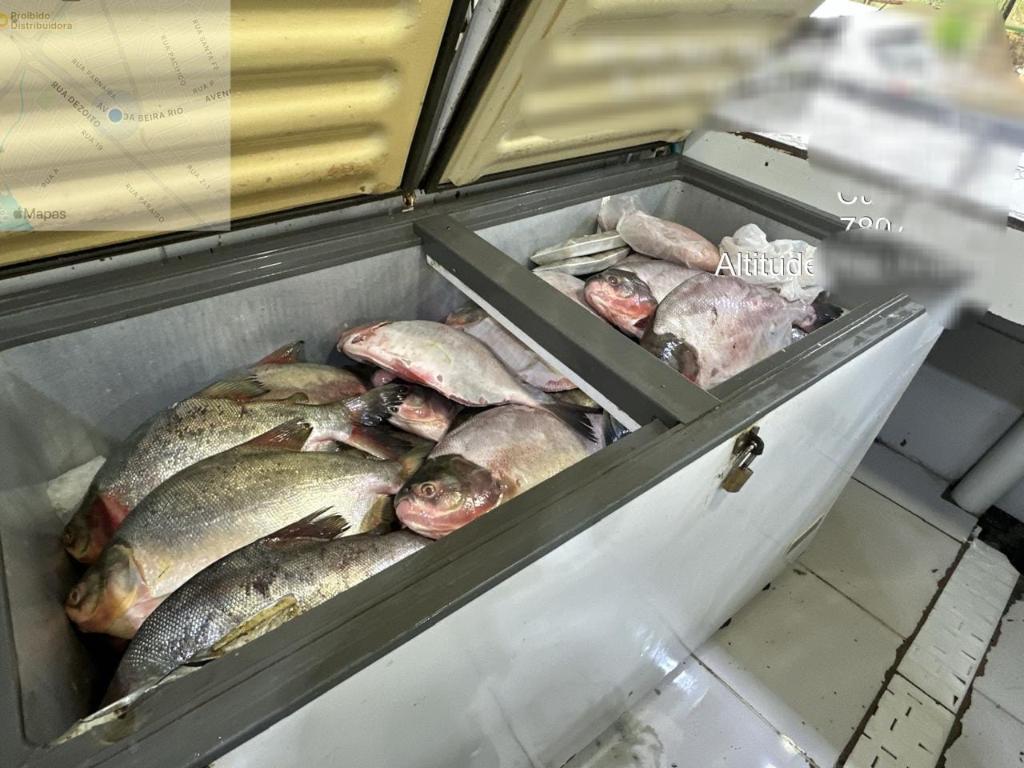 Whatsapp-11 2026 word2