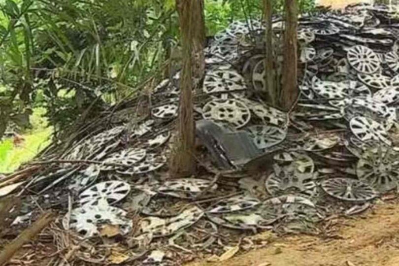 Alerta Do Der-Sp: Mais De 2 Mil Calotas São Recolhidas Por Mês Nas Estradas De São Paulo 1 2026 word3