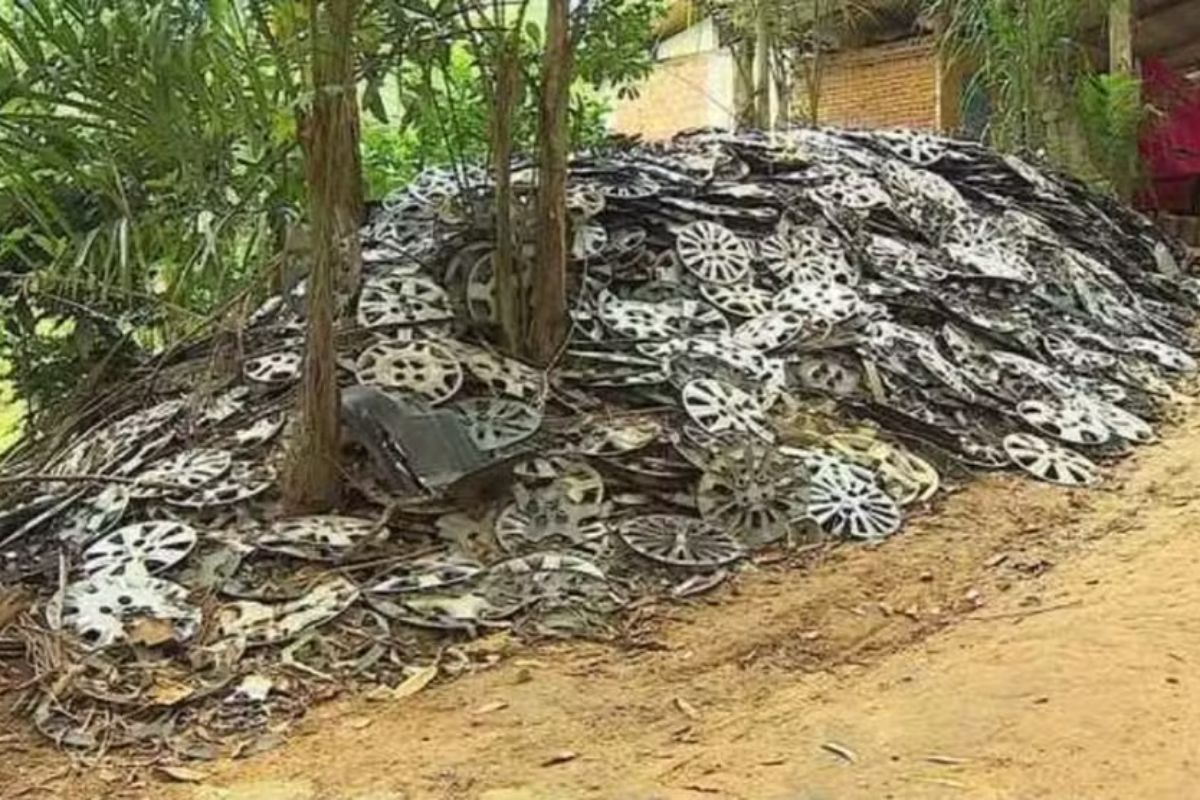 Calotas-Foto-Reproducaotv-Vanguarda-1 2026 word3