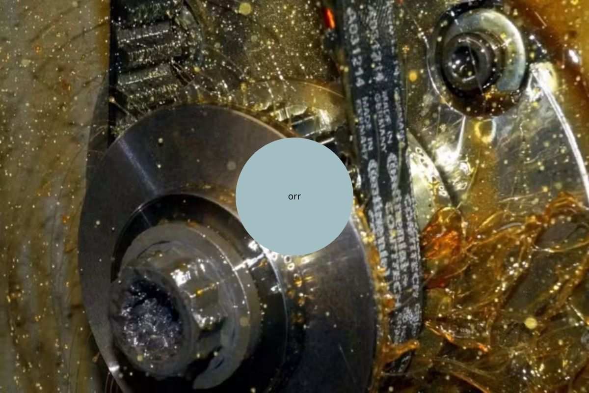 Correia_Banhada_Oleo_Comprimida_88Kb-1 2026 word1