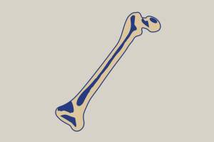 Ilustração, em fundo cinza, de um fêmur.