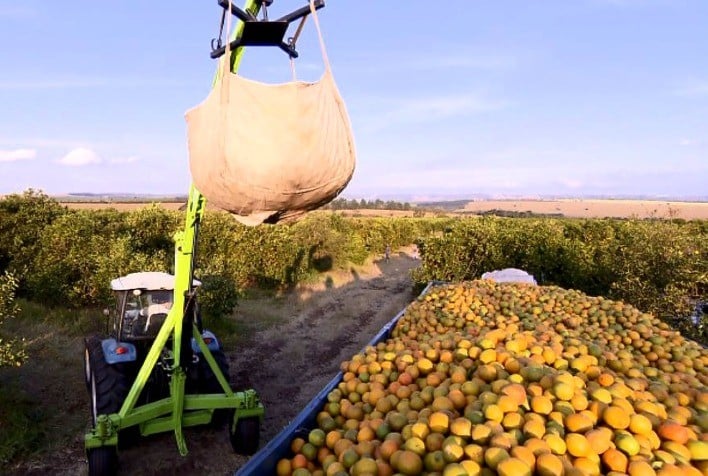 Safra De Laranja 2025/26: Finalização No Cinturão Citrícola De Sp E Triângulo Mineiro 1 2026 word3
