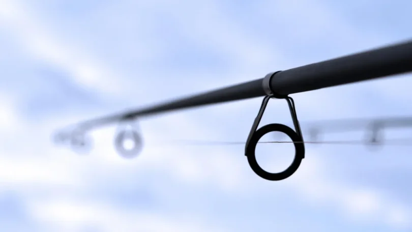 Piracema Encerra: Liberação Da Pesca Em Diversos Estados Do Brasil A Partir De Sábado (28) 1 2026 word3