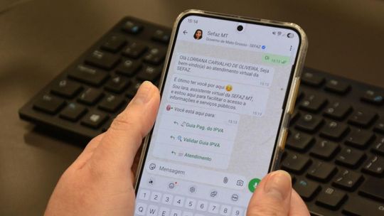 Como Emitir E Validar Boleto Do Ipva De Forma Segura Para Evitar Golpes 1 2026 word1
