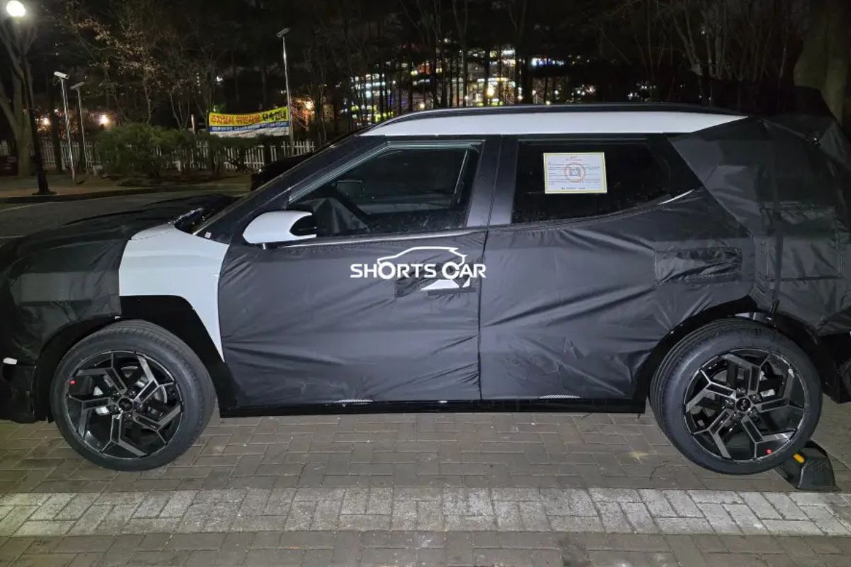 Foto-Shortscarreproducao-1-2 2026 word2