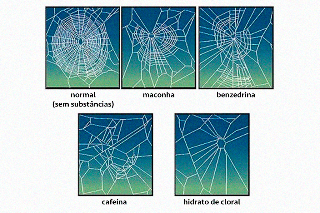 Ilustração das teias de aranha com drogas administradas e como isso afeta uma aranha e a sua capacidade de construir uma teia.