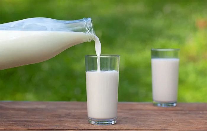 Preço Do Leite: Após Queda De Nove Meses, Tem Alta No Início De 2026 1 2026 word3