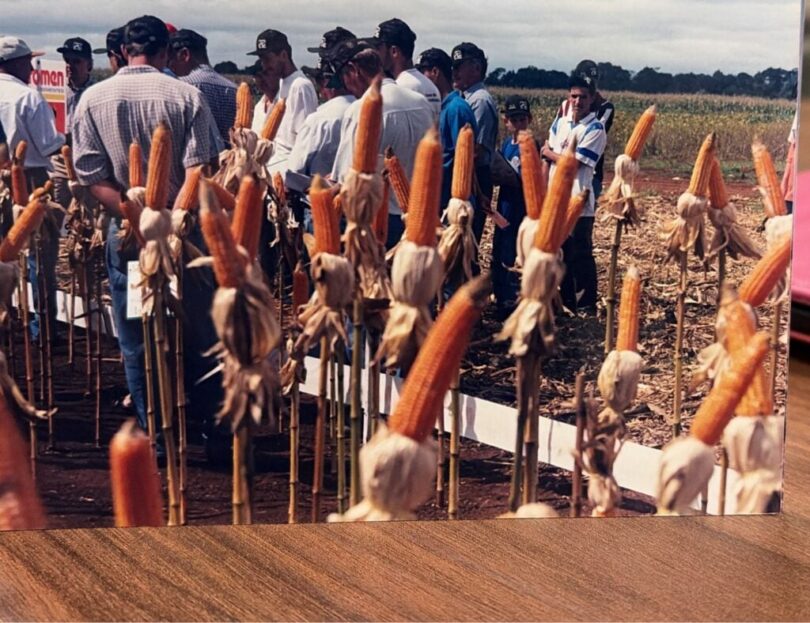 Como As Pesquisas Em Lucas Do Rio Verde Impulsionaram O Cultivo Do Milho Segunda Safra No Cerrado Brasileiro 1 2026 word2