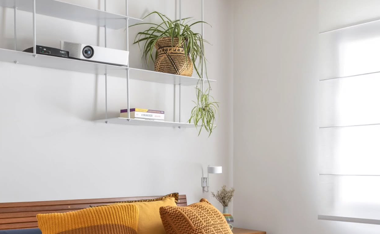 lorofito com folhas alongadas e mudas pendentes crescendo em vaso