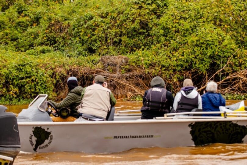 Novo Banheiro Flutuante No Pantanal Oferece Conforto Para Turistas Em Passeios De Observação De Natureza De Até 5 Horas 1 2026 word1