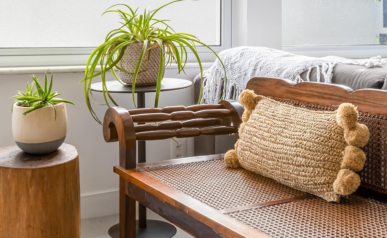 Planta em vaso decorando sala de estar e trazendo frescor