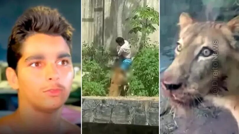 Tj-Pb Arquiva Inquérito Sobre Jovem Morto Por Leoa Com Base Em Culpa Exclusiva Da Vítima 1 2026 word3