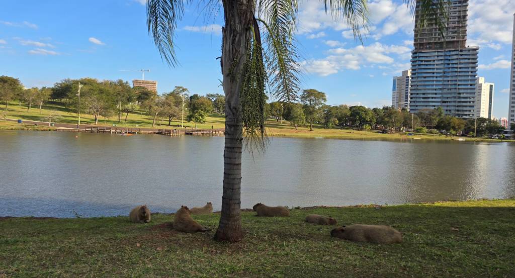 parque das nações indigenas campo grande