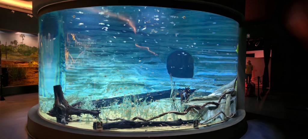 bioparque pantanal campo grande mato grosso do sul