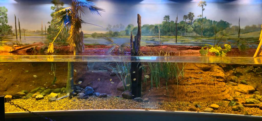 bioparque pantanal campo grande mato grosso do sul