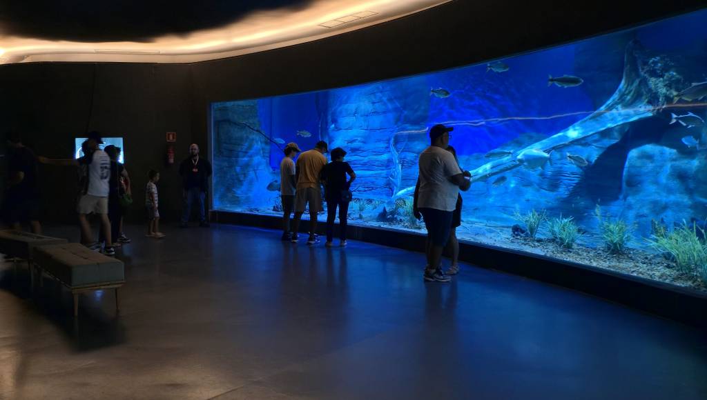 bioparque pantanal campo grande mato grosso do sul