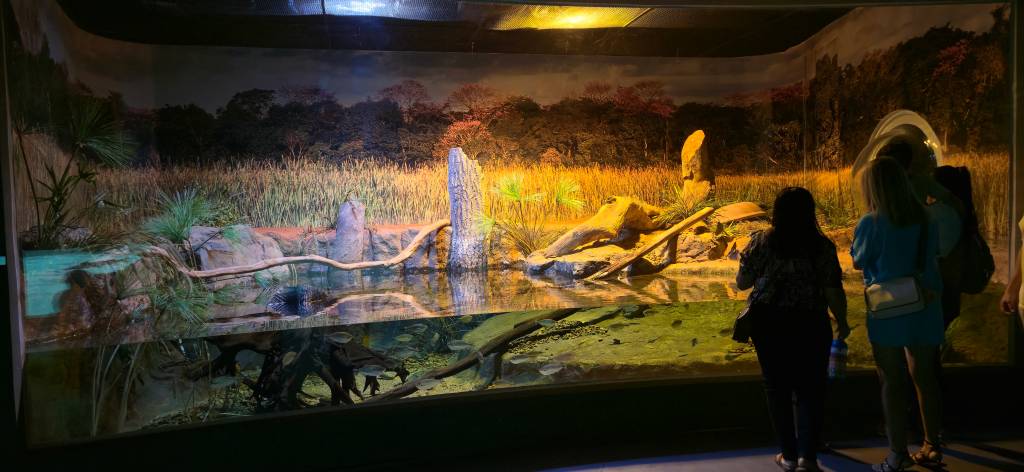 bioparque pantanal campo grande mato grosso do sul