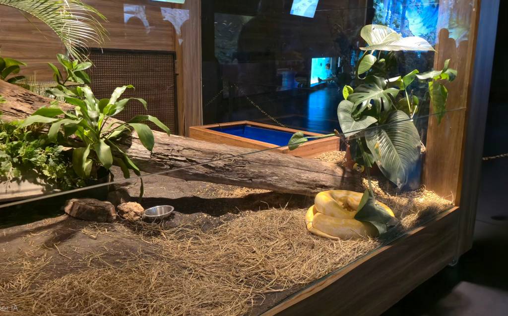 bioparque pantanal campo grande mato grosso do sul