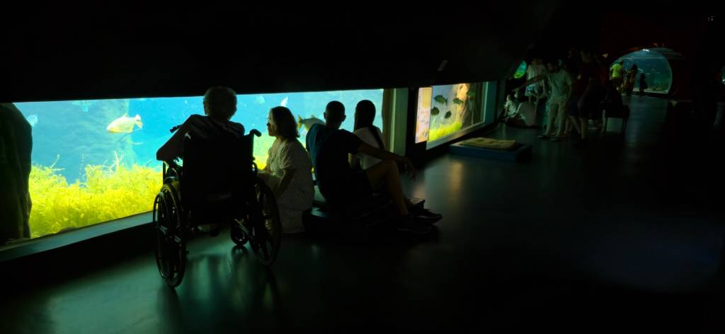 bioparque pantanal campo grande mato grosso do sul