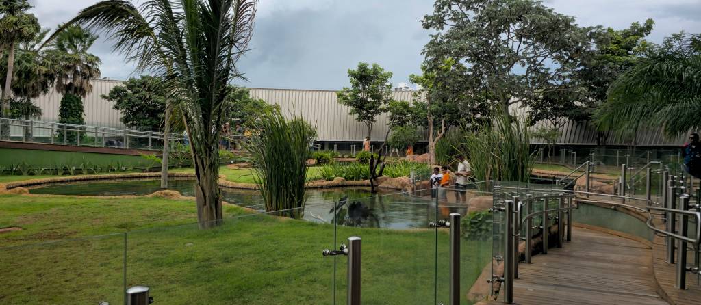 bioparque pantanal campo grande mato grosso do sul