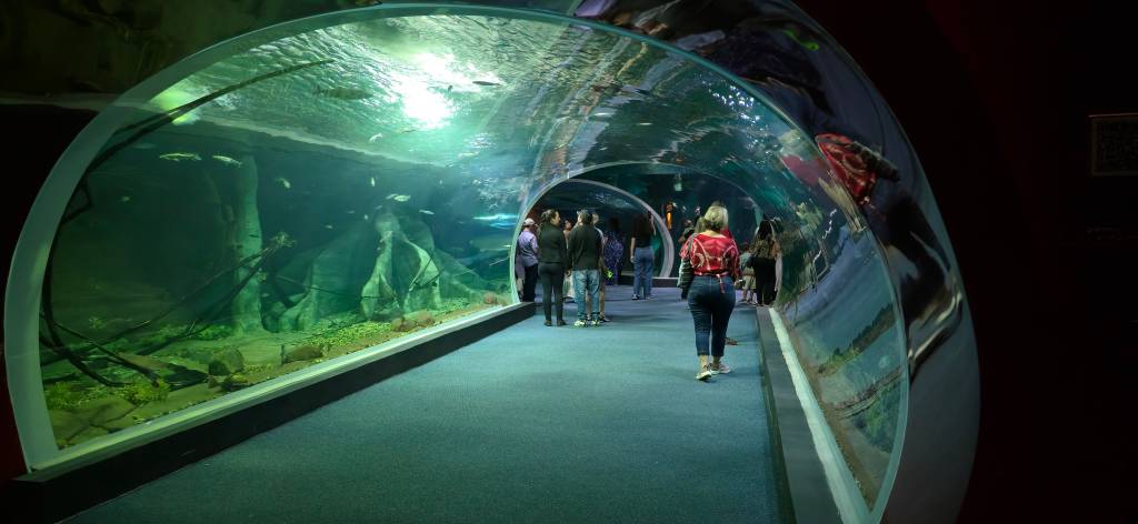 bioparque pantanal campo grande mato grosso do sul