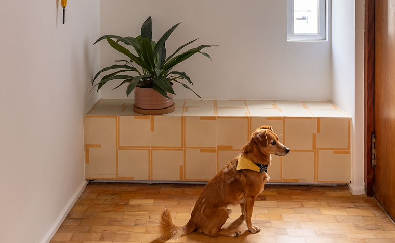 Cachorro em hall de entrada de casa com piso de madeira, ambiente onde pode ocorrer xixi de cachorro.