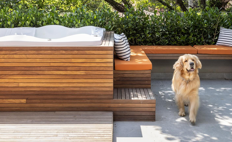 Cachorro em área externa da casa, local onde cães costumam marcar território com xixi