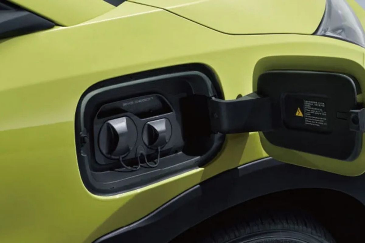 dolphin-mini-foto-divulgacao-2 2026