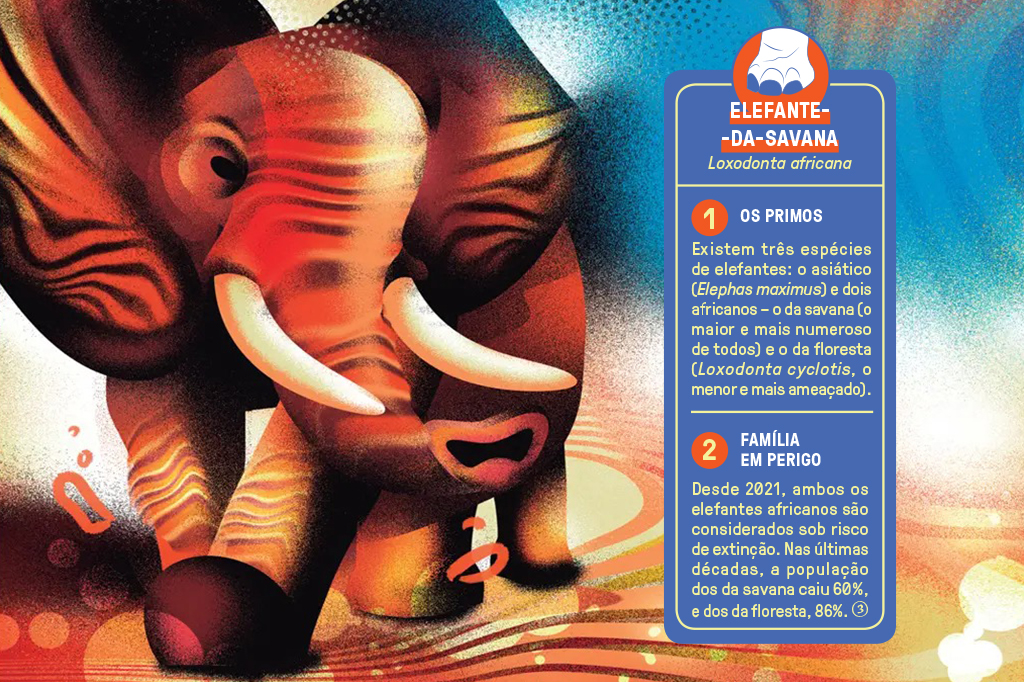Ilustração multicolorida de um elefante.