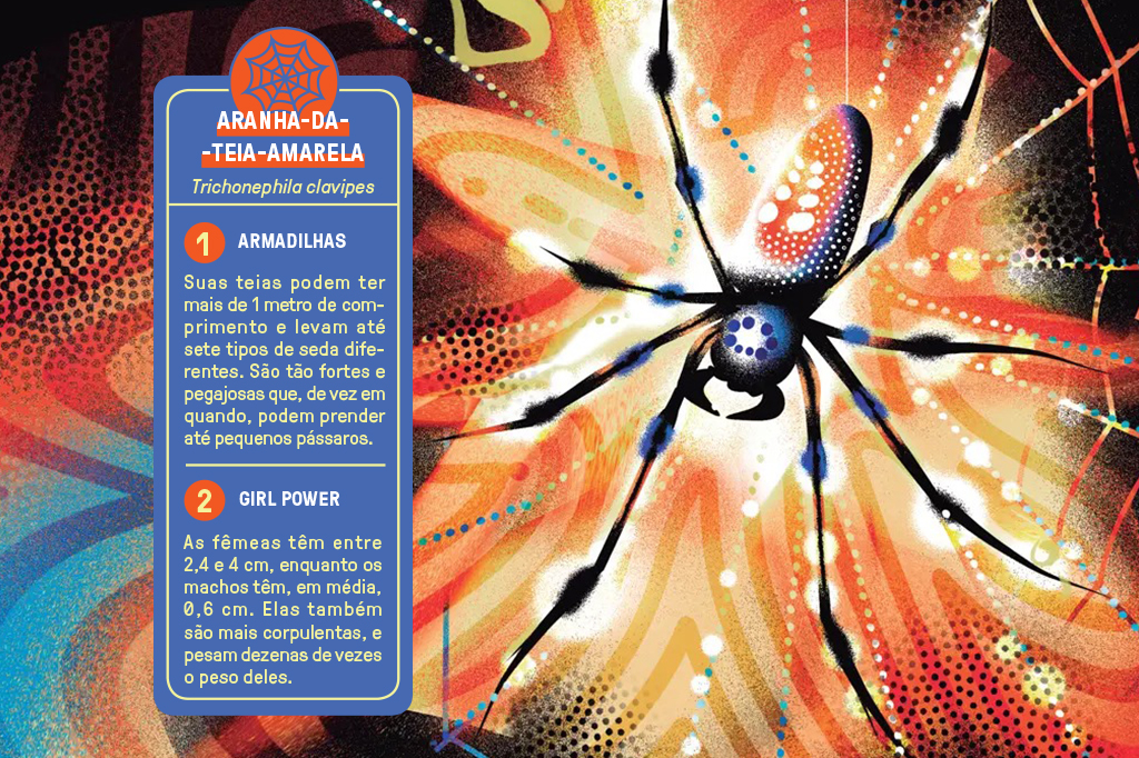 Ilustração de uma aranha.