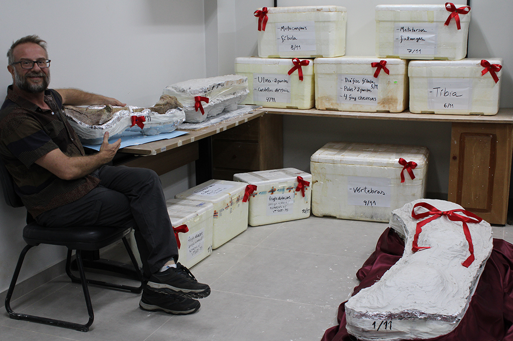 Fotografia dos Fósseis preparados para translado do estado do Pará para o Maranhão.