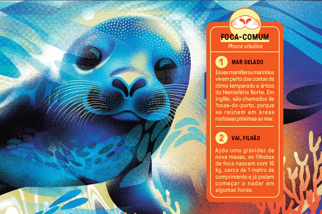 Ilustração multicolorida de uma foca.