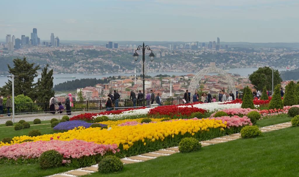 tulipas-istambul
