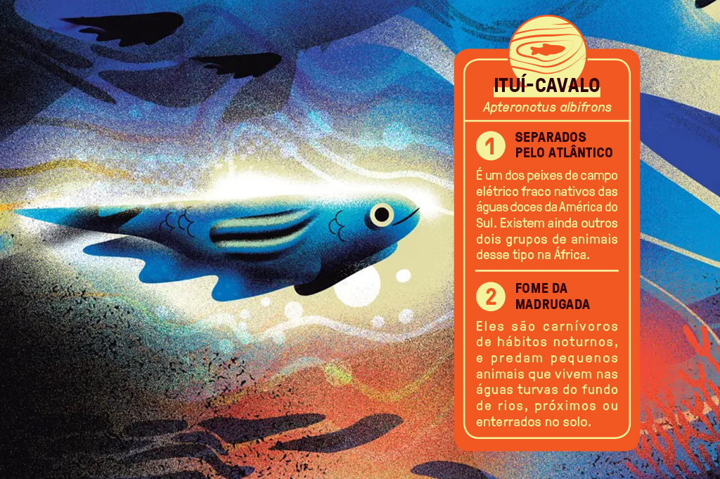 Ilustração multicolorida de um peixe-eletrico.