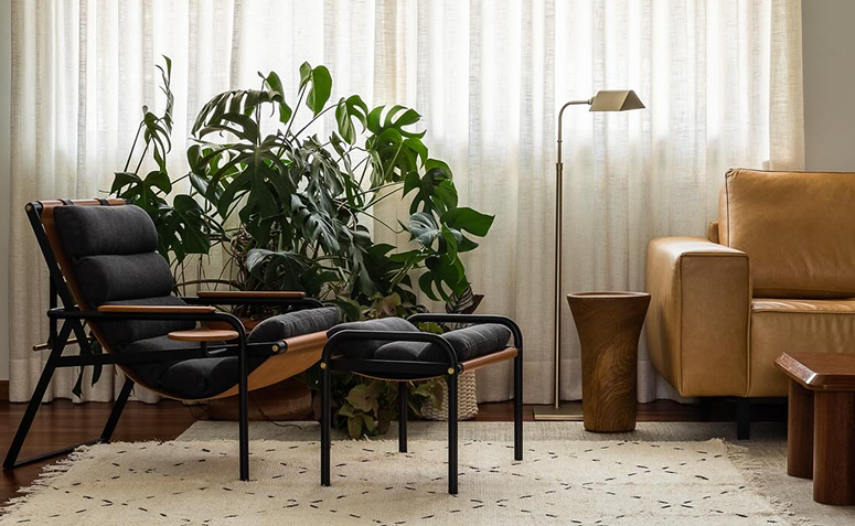 Costela-de-adão com folhas abertas em sala de estar, ideal para demonstrar a limpeza correta de plantas de interior.