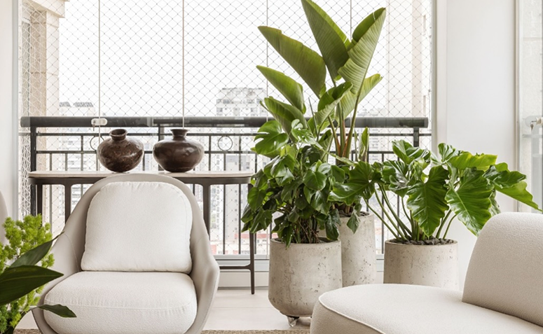 Plantas ornamentais em vasos de concreto em varanda fechada, exemplo de espécies cultivadas dentro de casa.