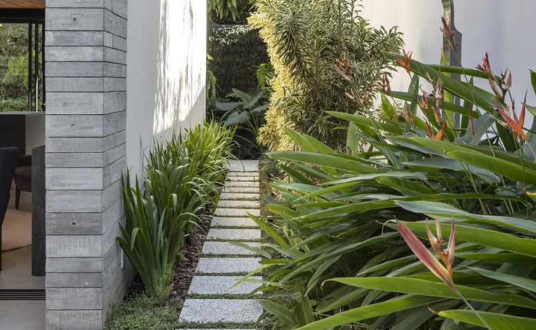Corredor externo estreito com caminho de placas de concreto e paisagismo lateral com plantas tropicais e folhagens verdes.